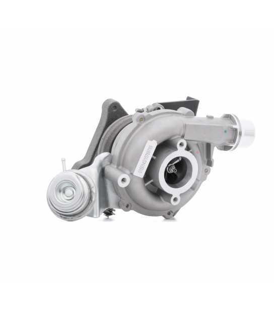 Turbo pour OPEL Vivaro A (X83) 2.0 CDTI 114 CV 795637-5001S